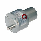 1250rpm 12V High Torque Brushed Motor Micro Liftting Motor Garden Tools باغ